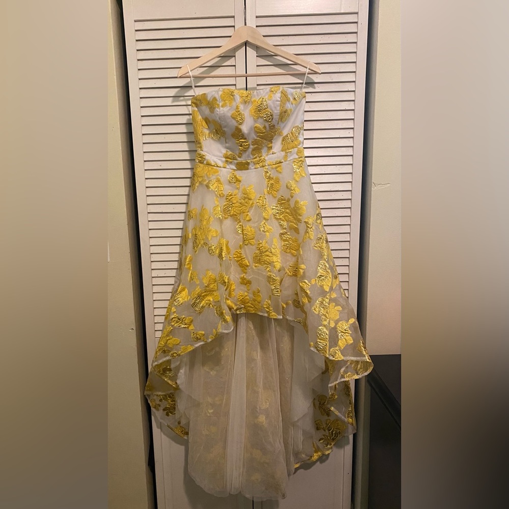 Graduation/Formal Dress.